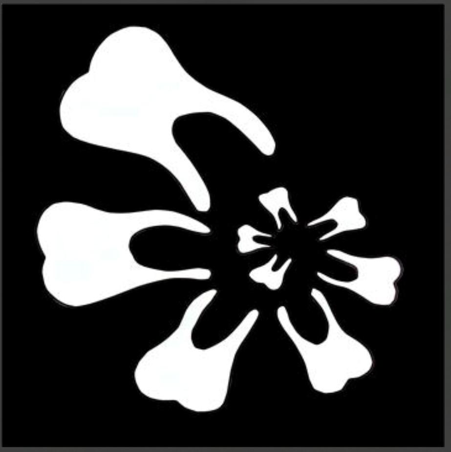 My Website